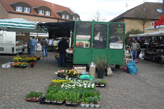 Blumen Trogemann auf dem Olfener Wochenmarkt