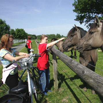 Radwanderweg Steveraue